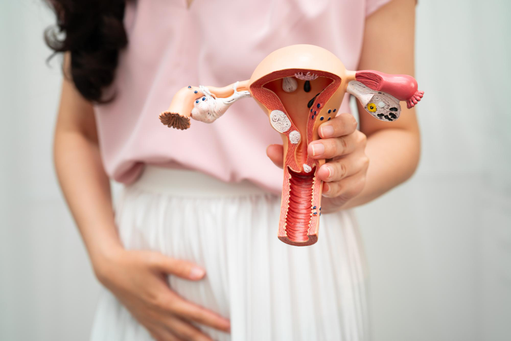 Ovarian Cysts: Symptoms, Causes, Diagnosis, Treatment, and Prevention